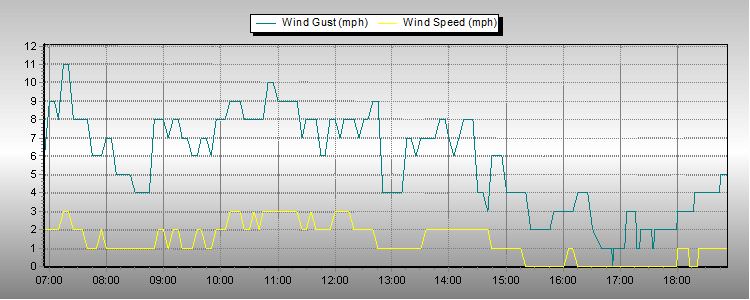 Weather Graphs